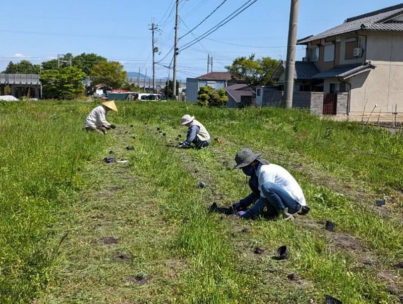 昨日は今シーズン初のツチミズでした。