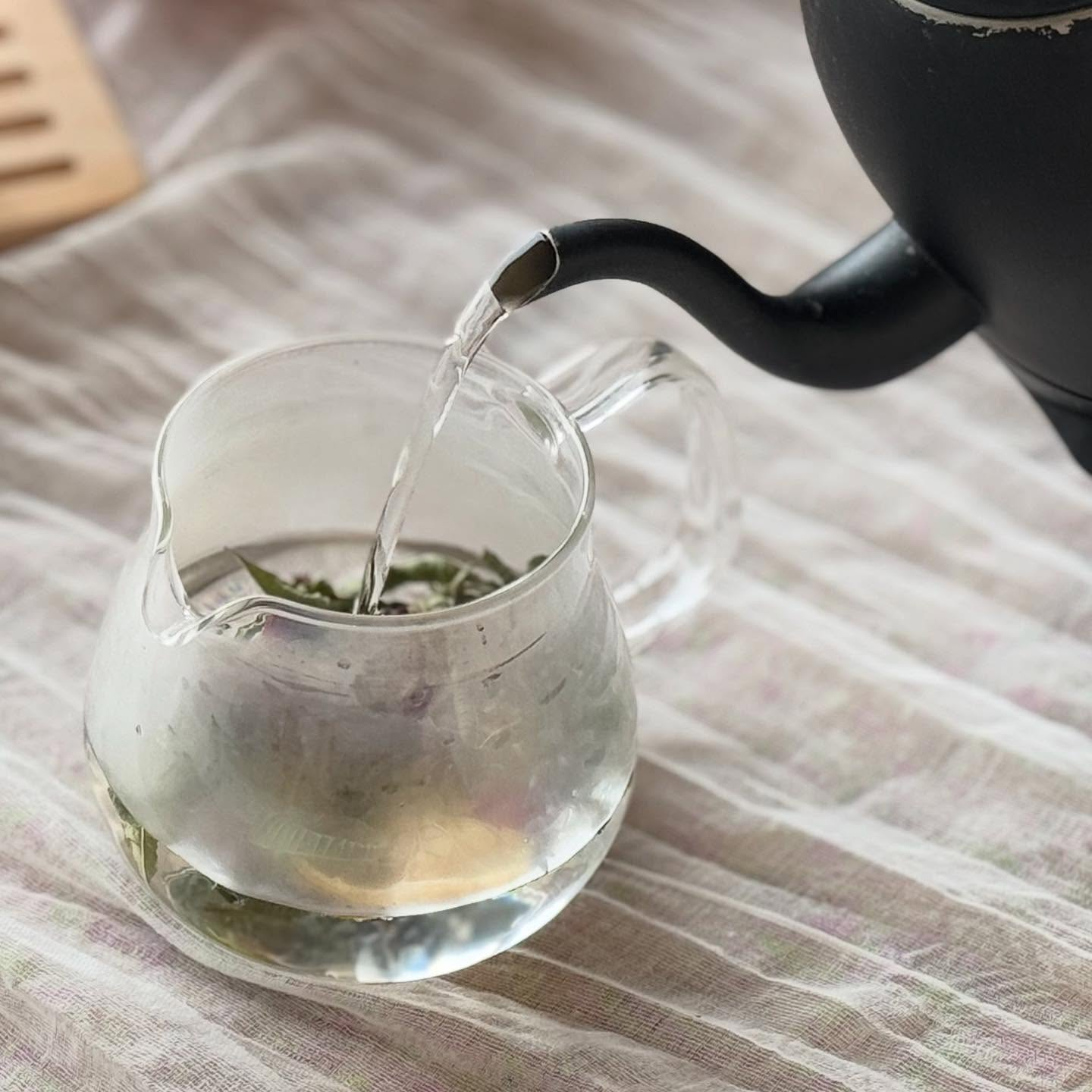 かんじる比良1日目