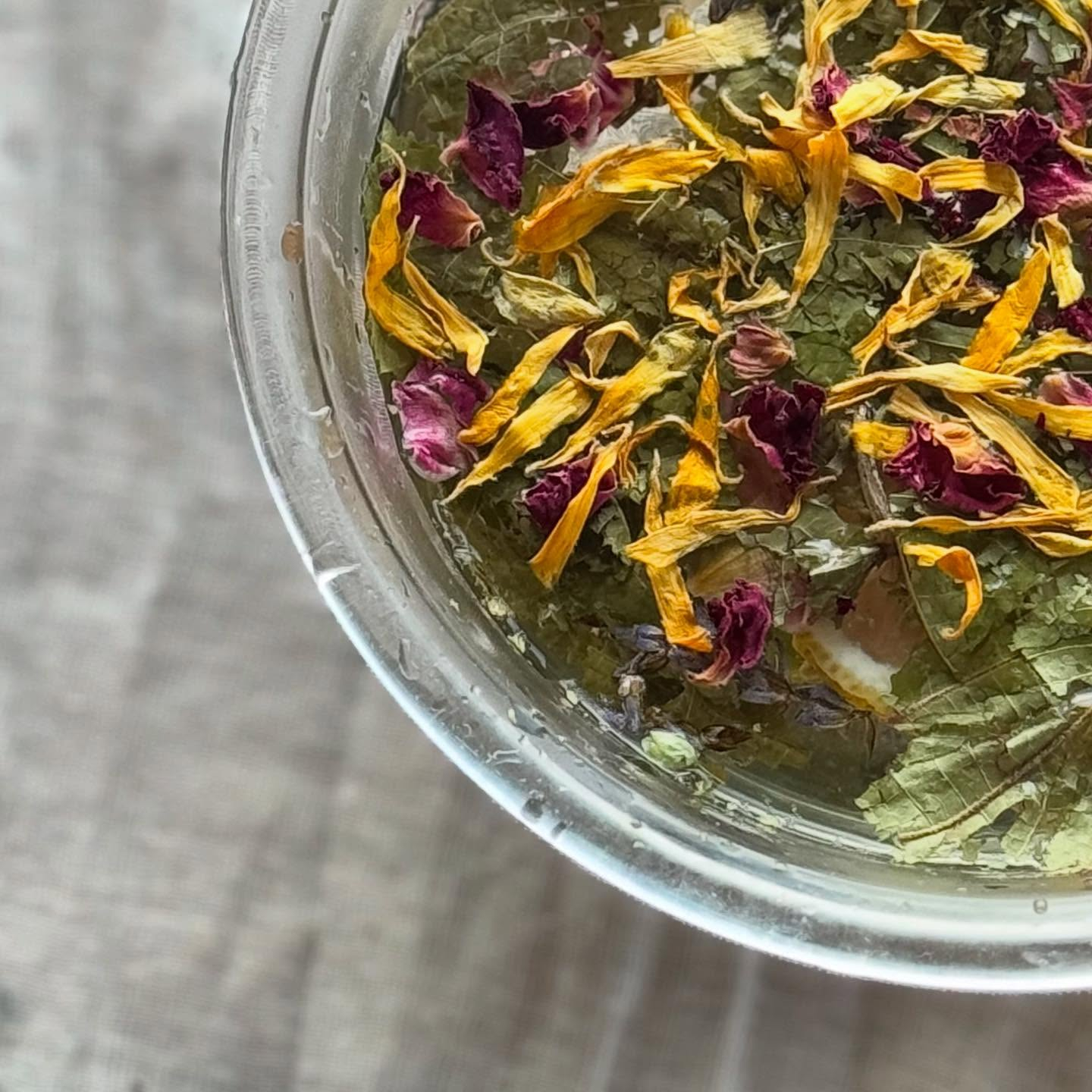 かんじる比良1日目