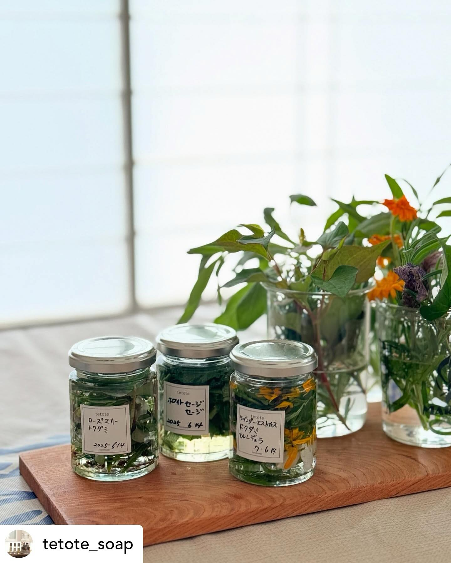 大阪・箕面のサテライト校tetoteさんの緑育植物療法士講座...