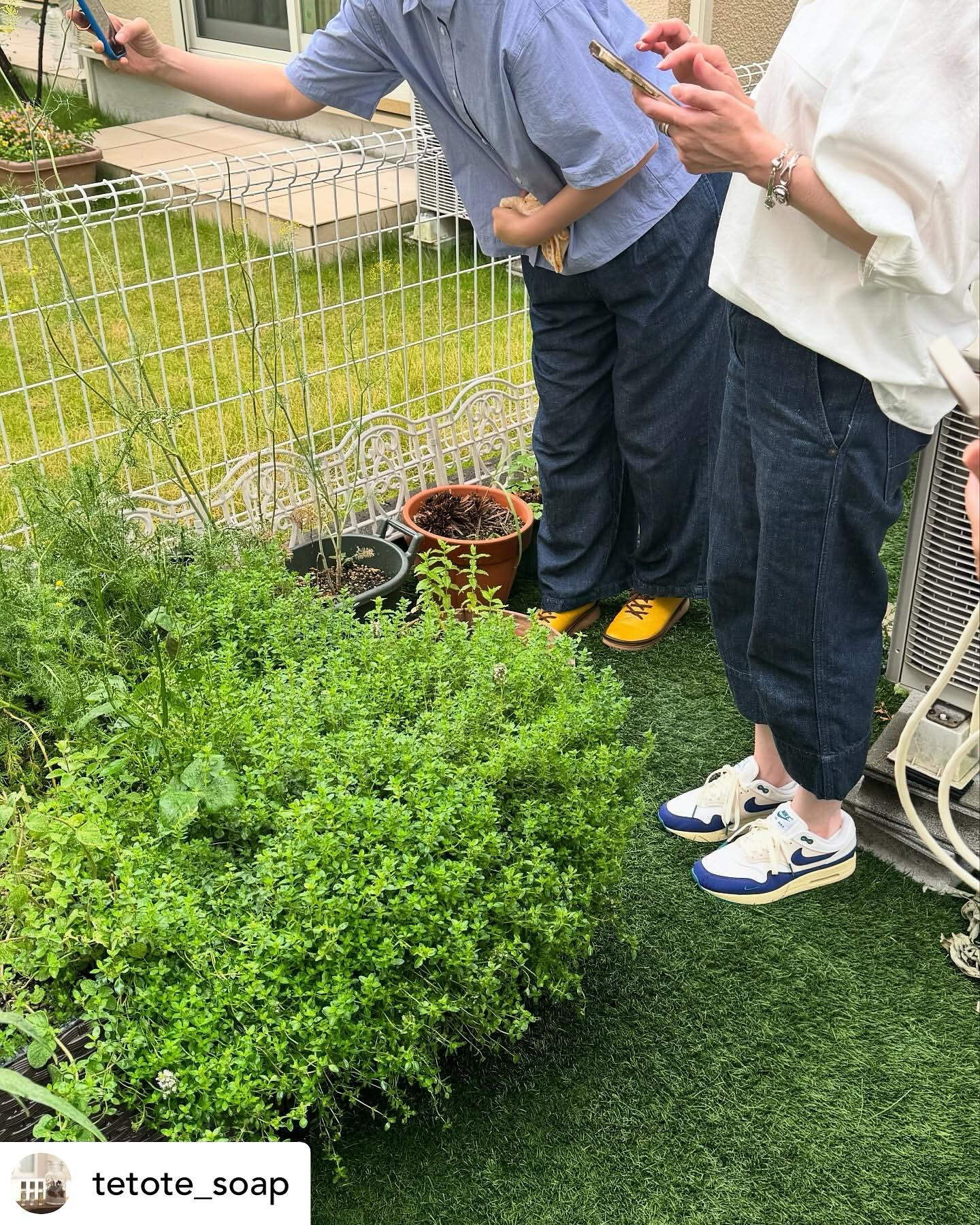 大阪・箕面のサテライト校tetoteさんの緑育植物療法士講座...