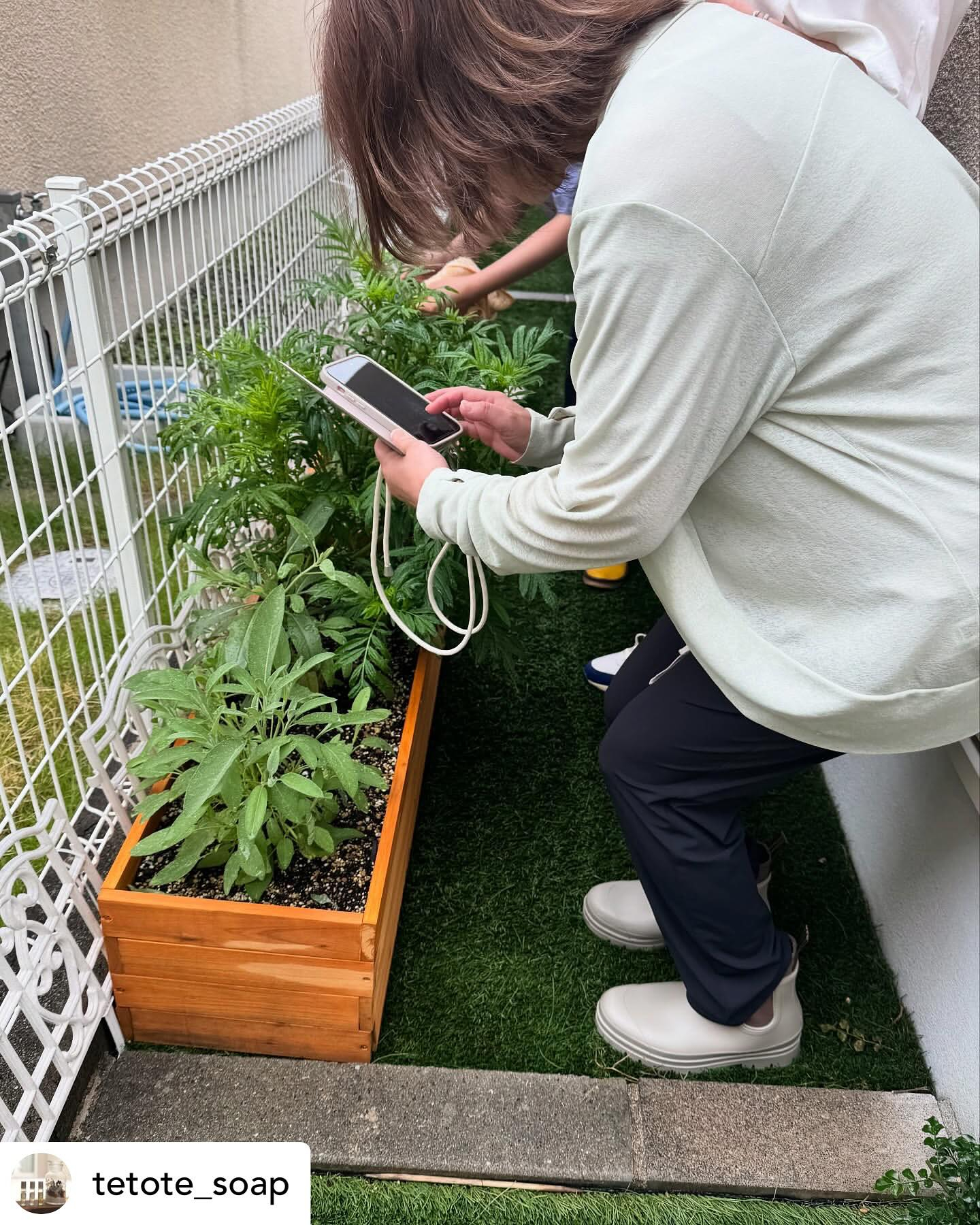 大阪・箕面のサテライト校tetoteさんの緑育植物療法士講座...