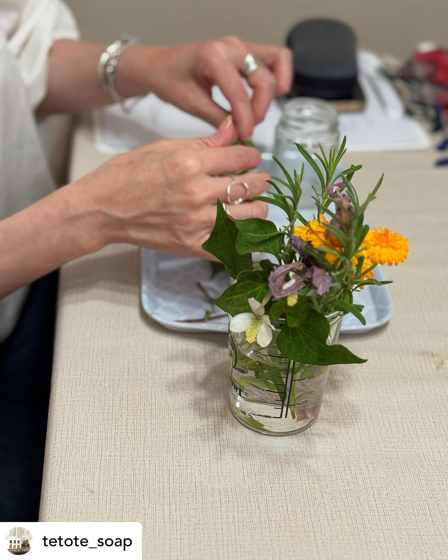 大阪・箕面のサテライト校tetoteさんの緑育植物療法士講座...