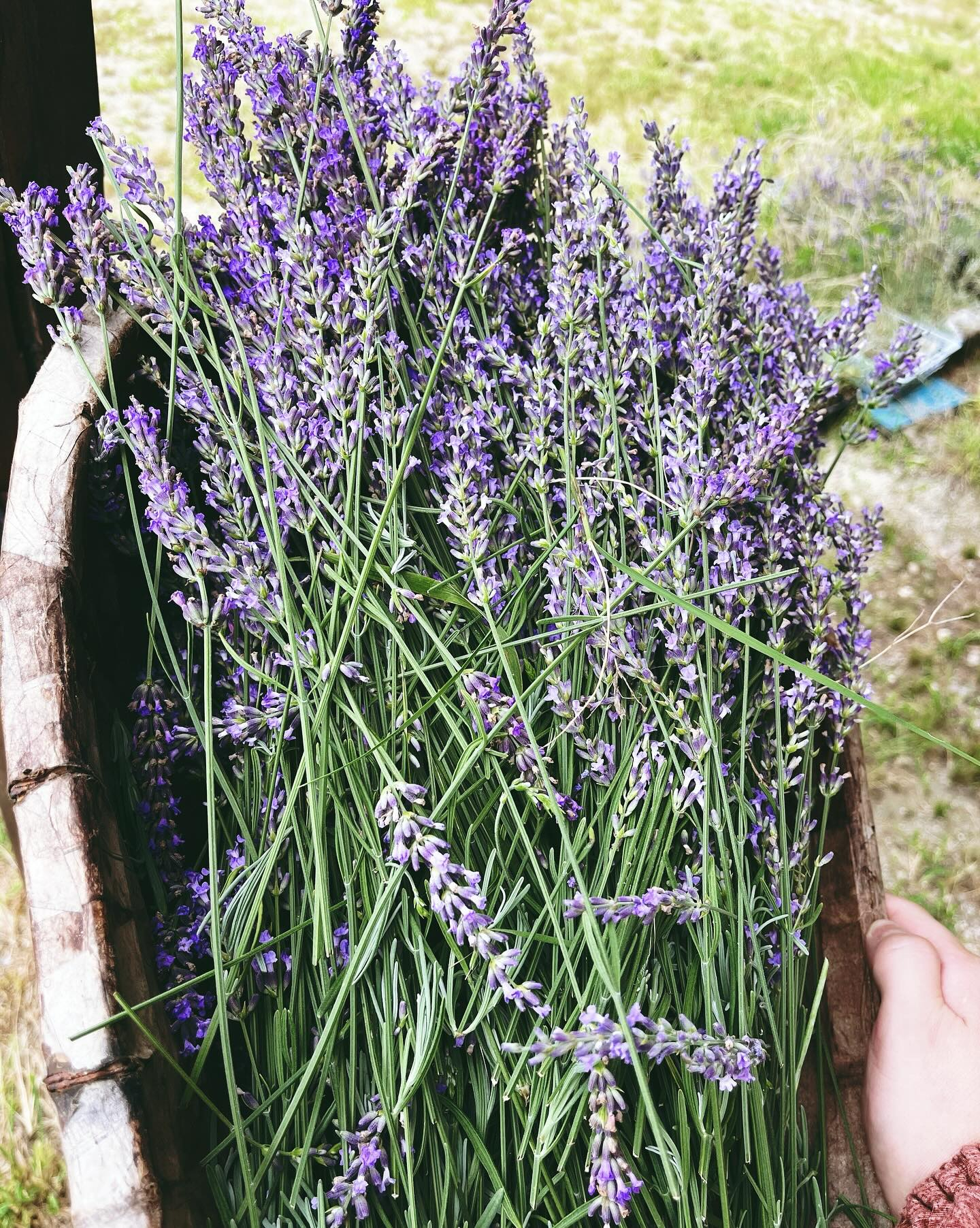 【｜NEW ENERGY大阪 出展｜9月13〜14日 】