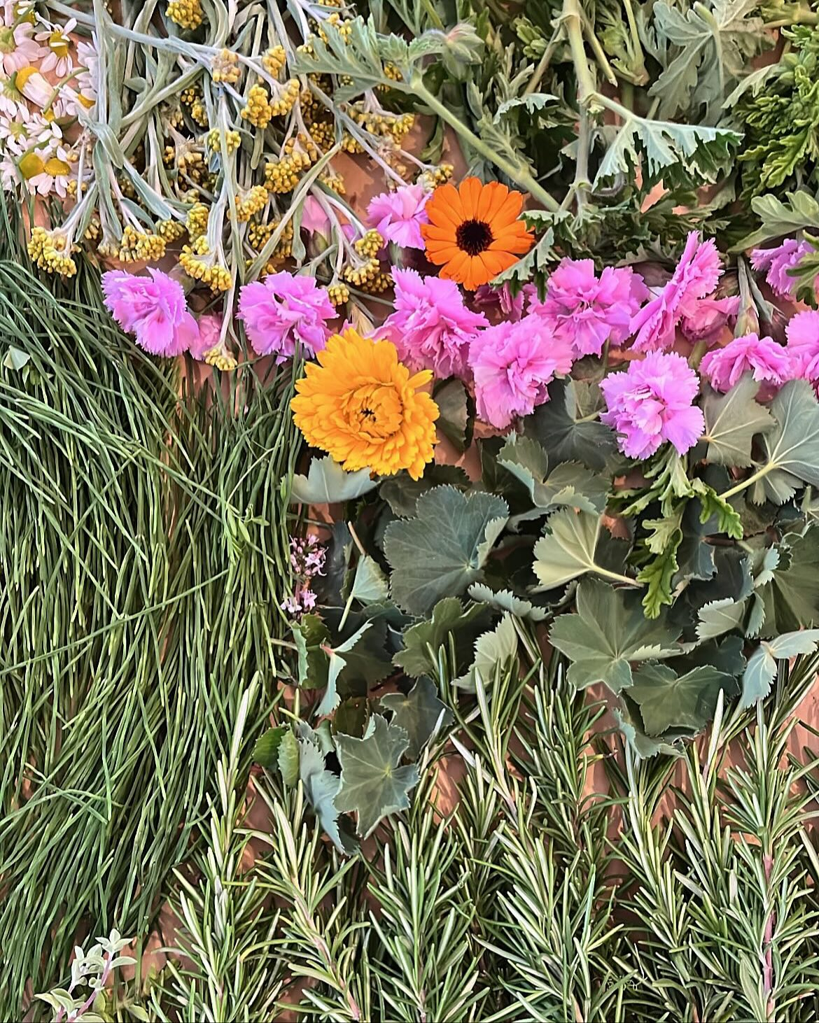 【｜NEW ENERGY大阪 出展｜9月13〜14日 】