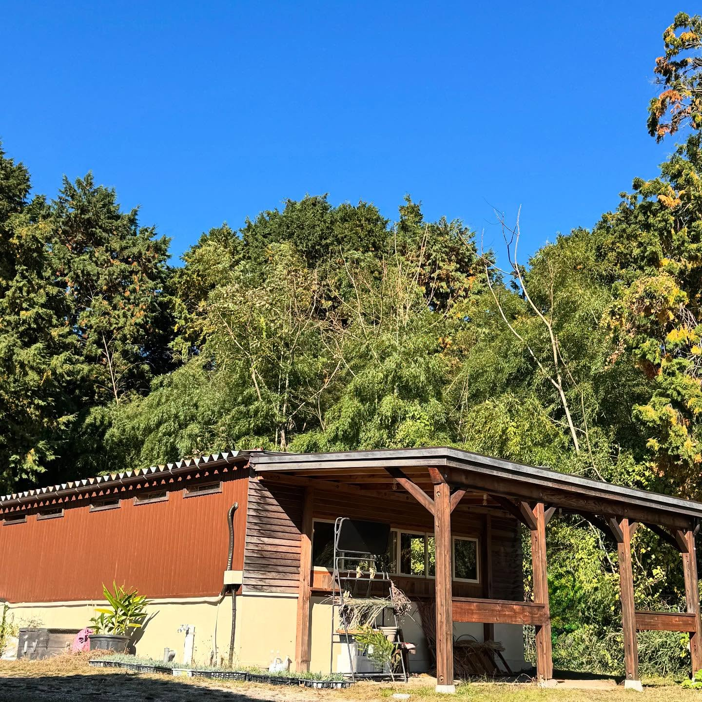 【今月は決算月】