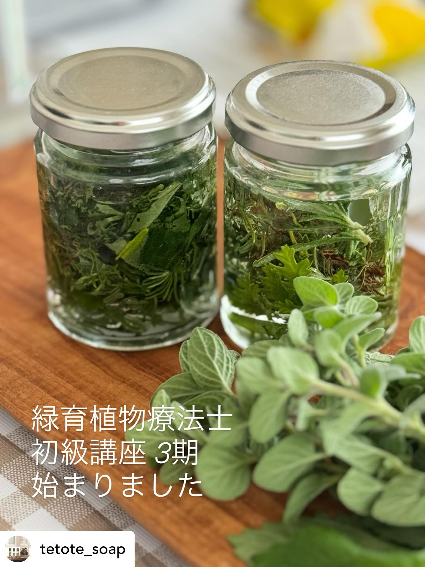 【サテライト校　初級クラスレポート】