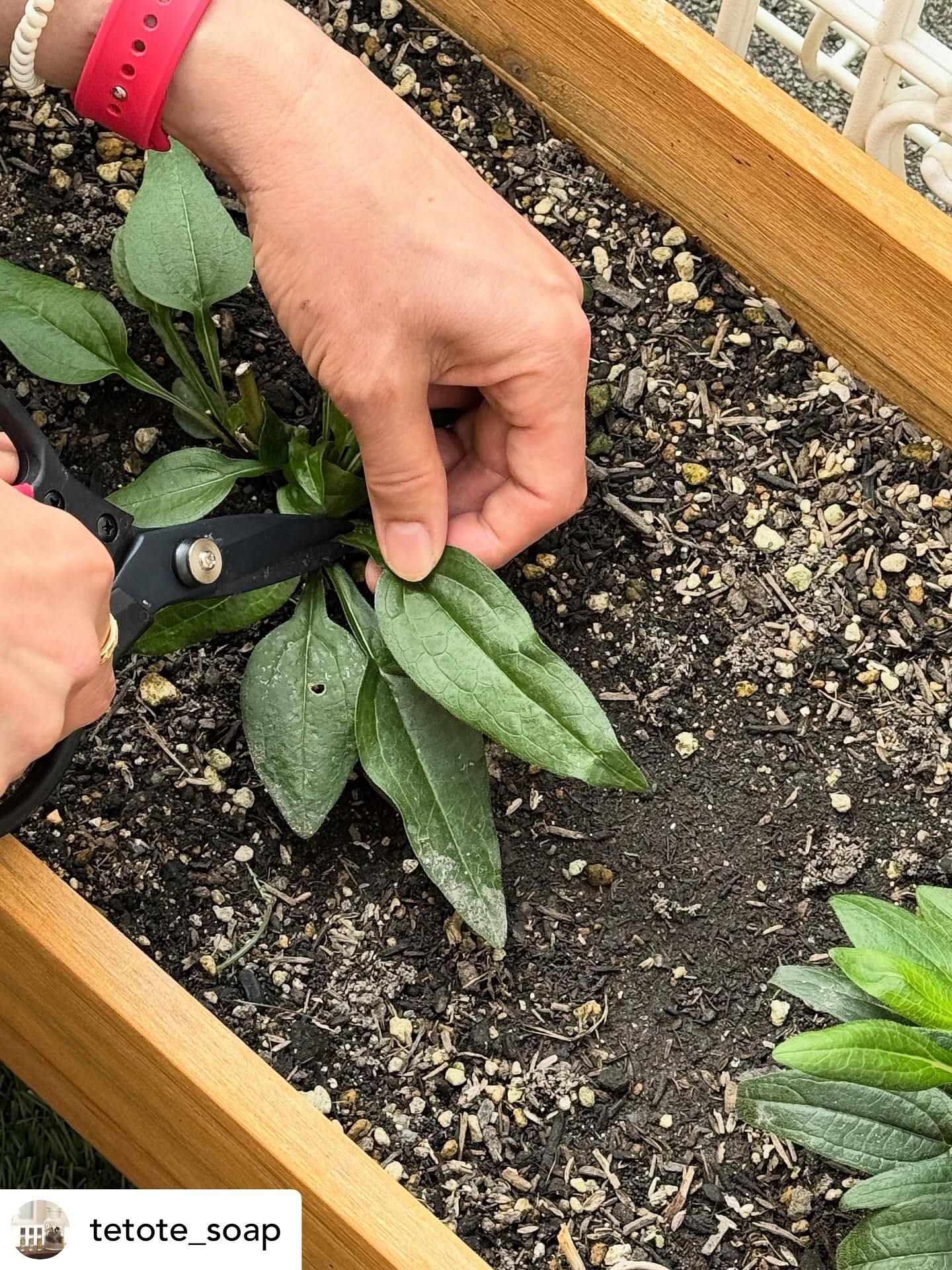 【サテライト校　初級クラスレポート】