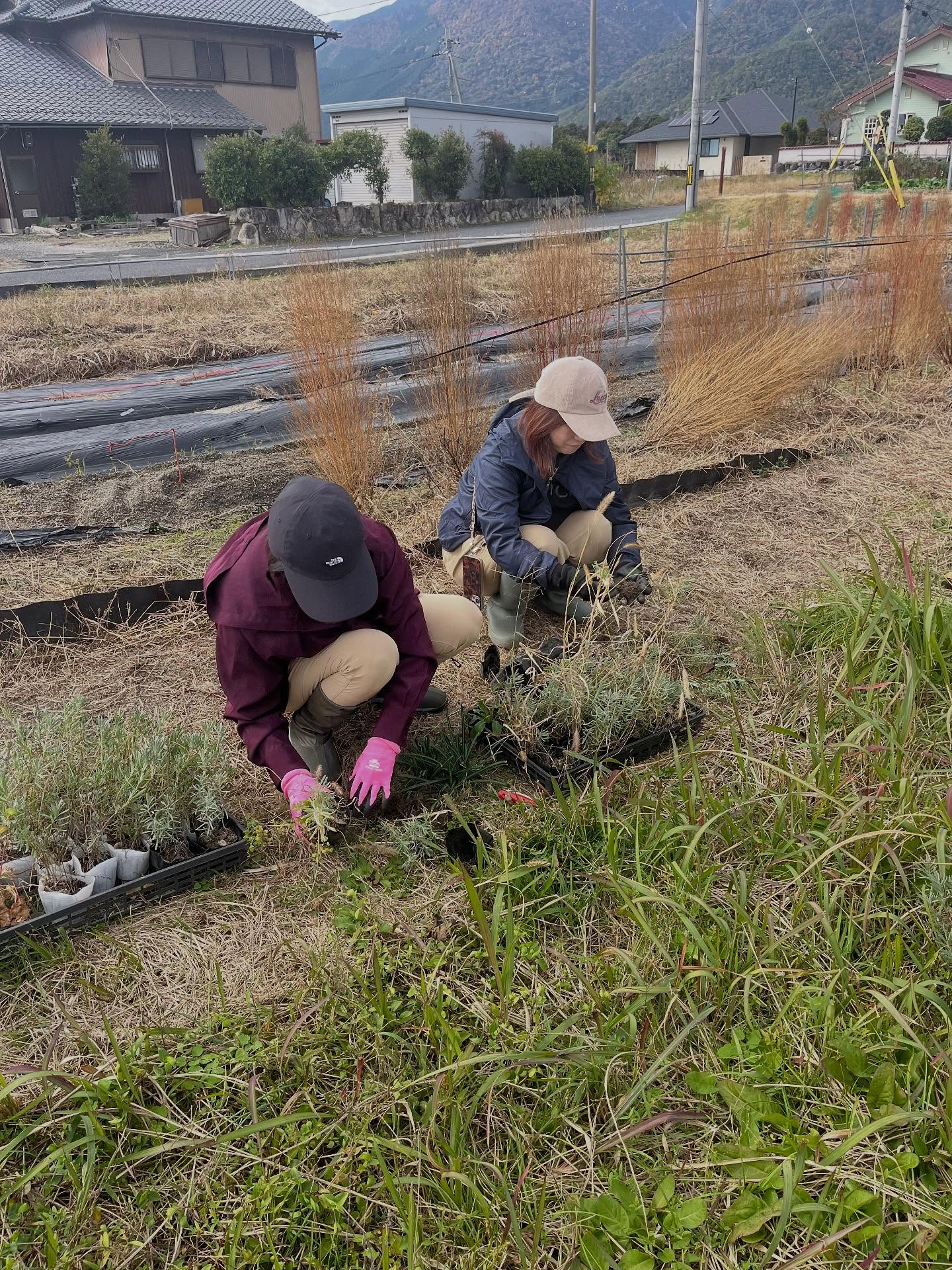 【秋のツチミズ11/12】