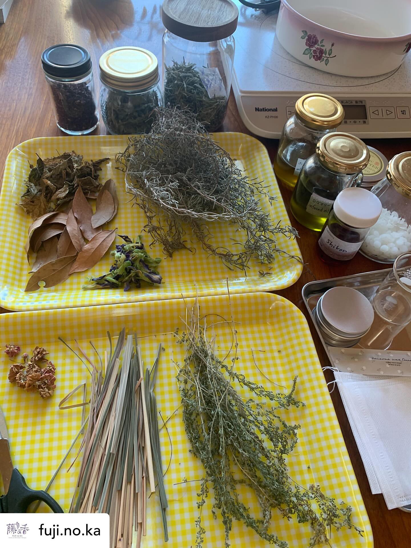 【サテライト校レポート・滋賀近江八幡校】