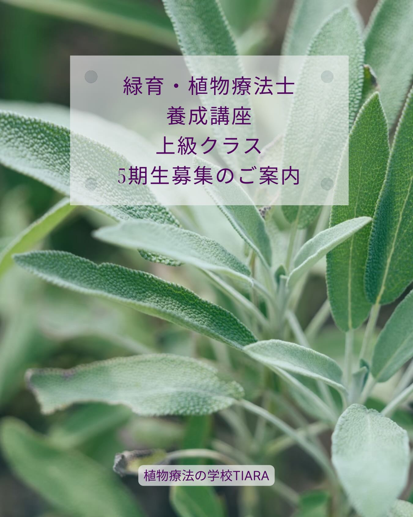 【緑育・植物療法士養成講座｜上級クラス5期生のご案内】