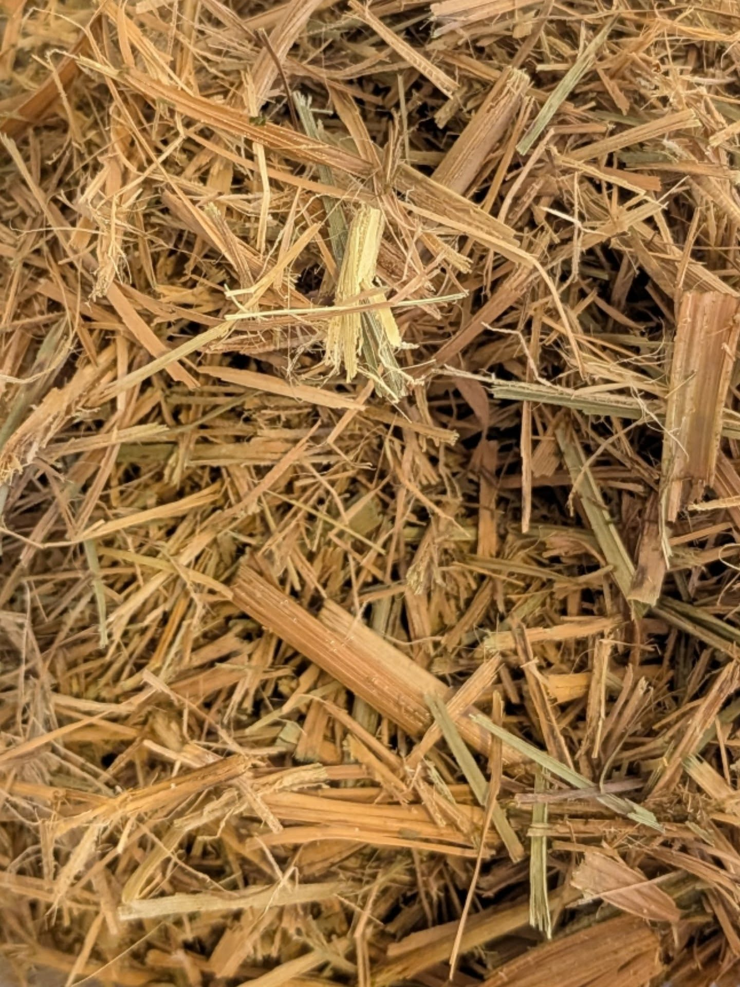 【山添村の原種マコモバーム】