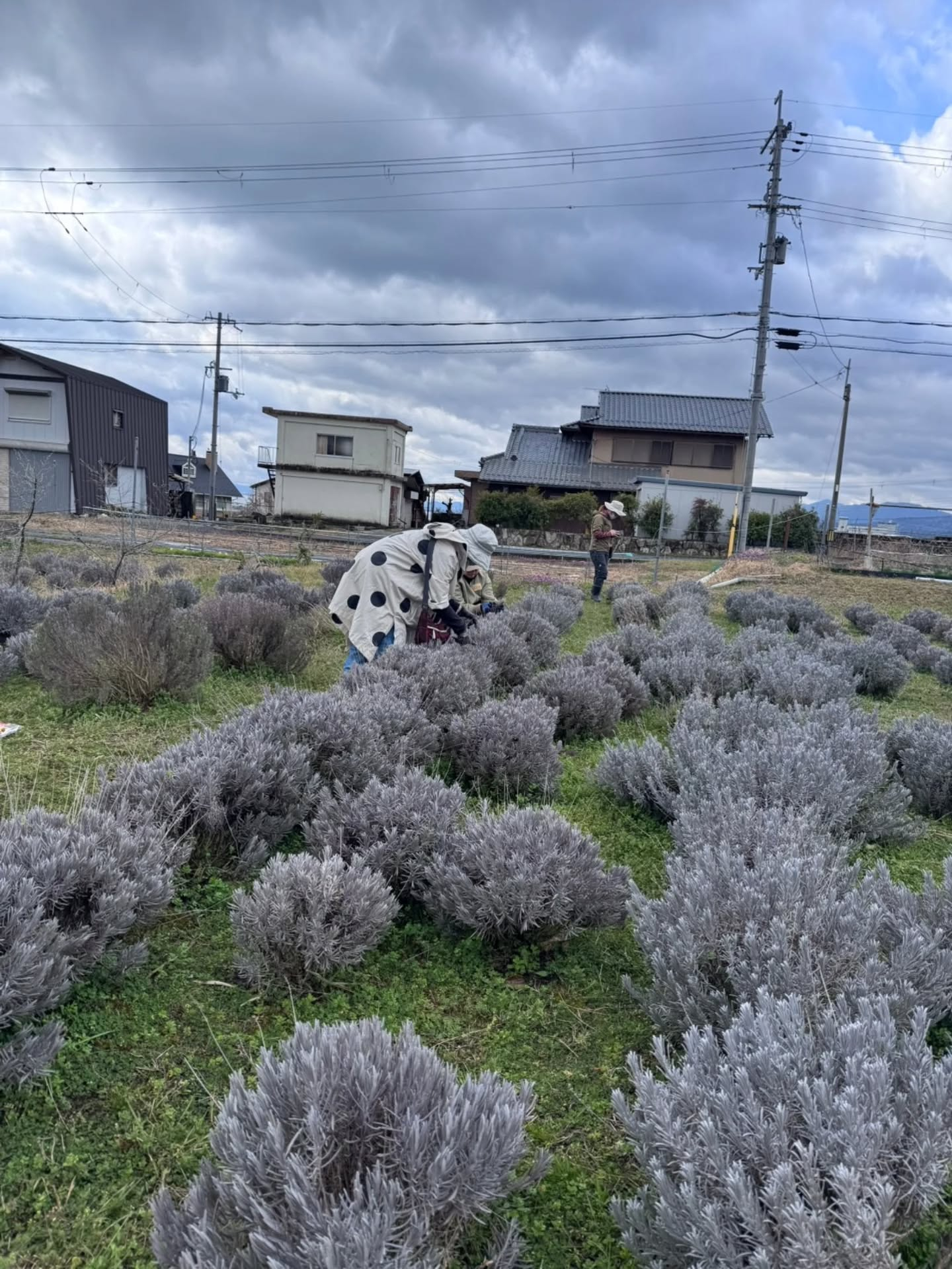 【2026年1回目 新月ツチミズレポート】