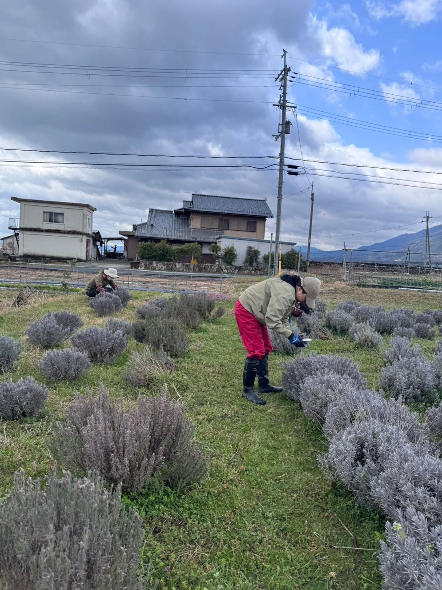 【2026年1回目 新月ツチミズレポート】