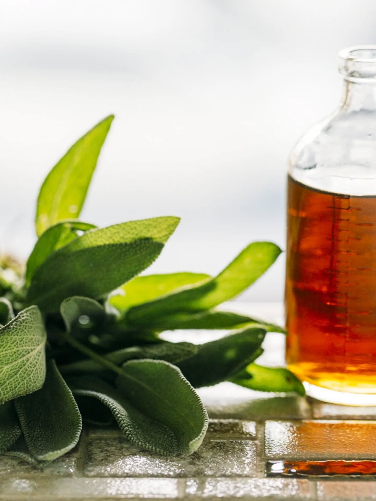 【明日はKusatsu GREEN market お得なワー...