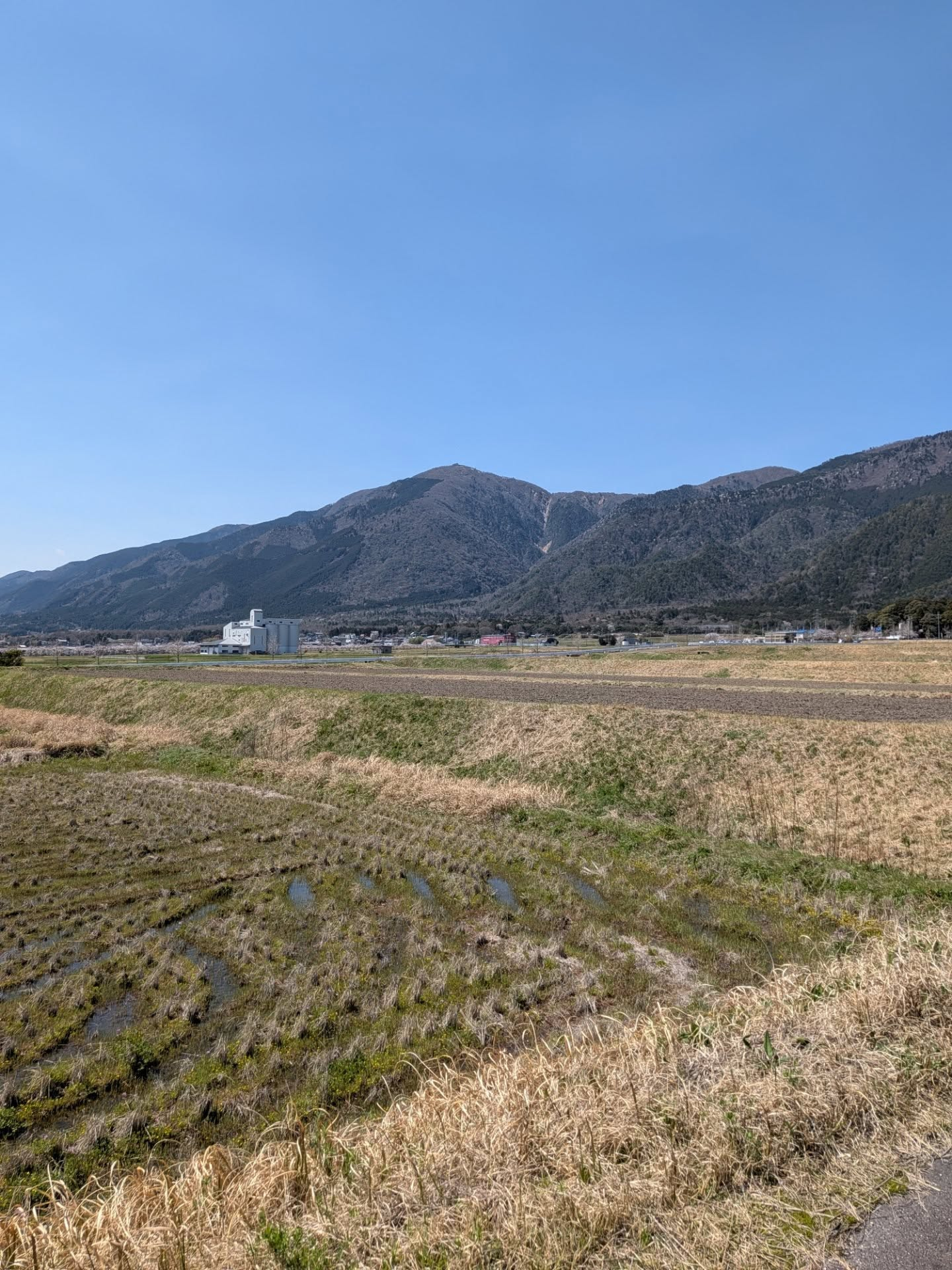 【満月ツチミズ】