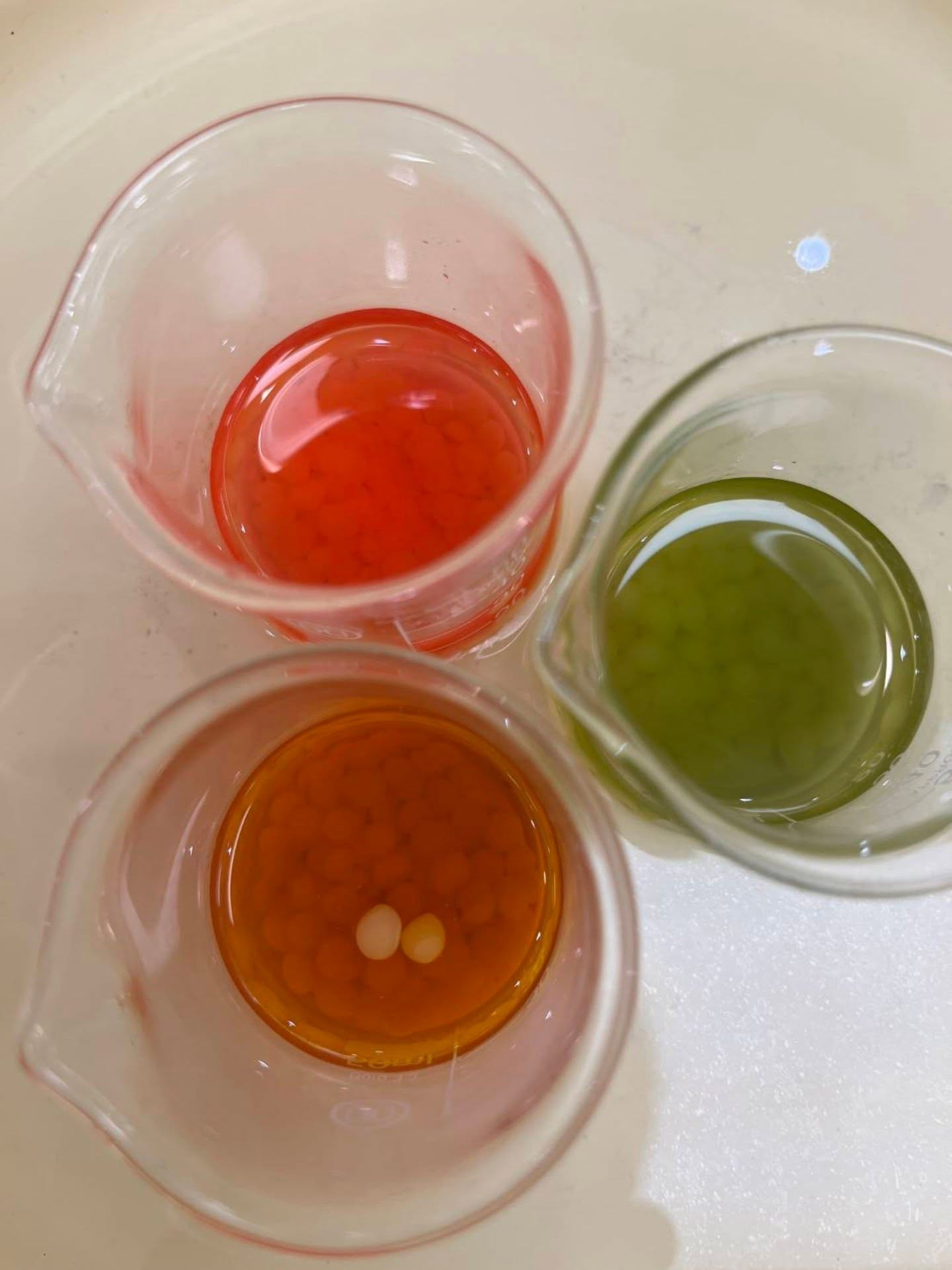 【奈良・御杖村のスガノオーガニックさんでWS】