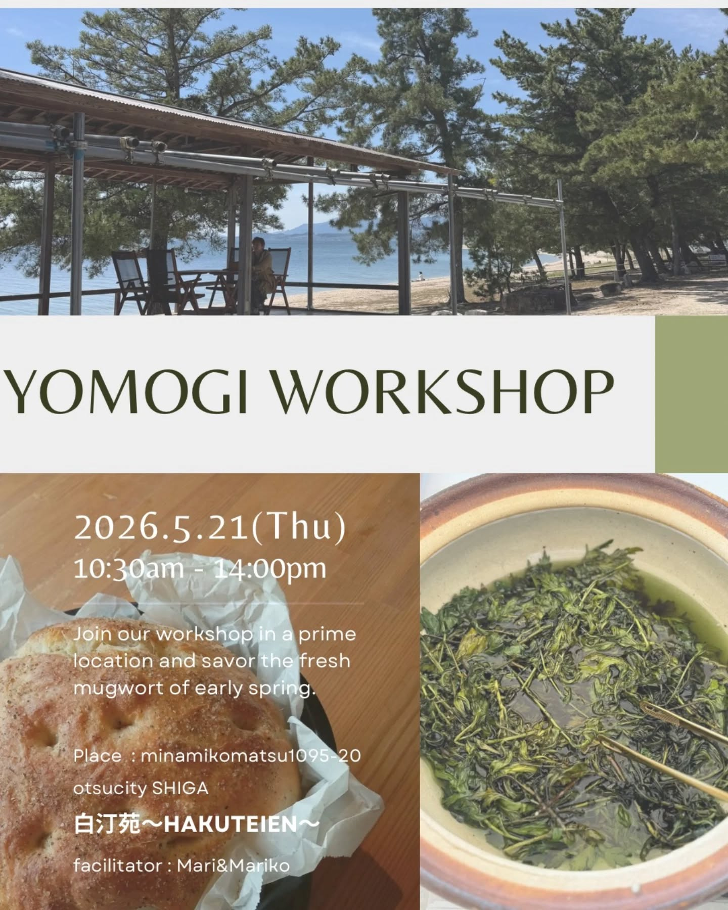 【琵琶湖畔でヨモギ三昧】