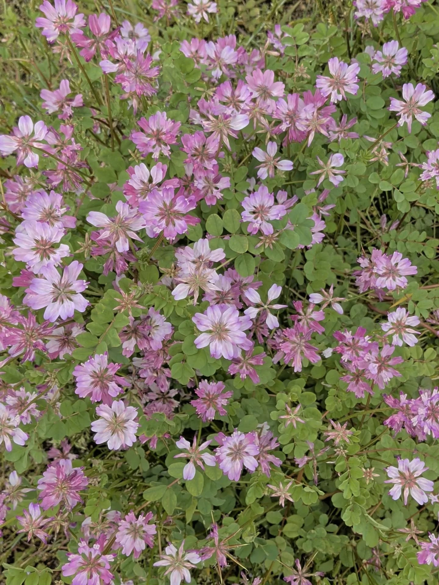 【生きる喜び】