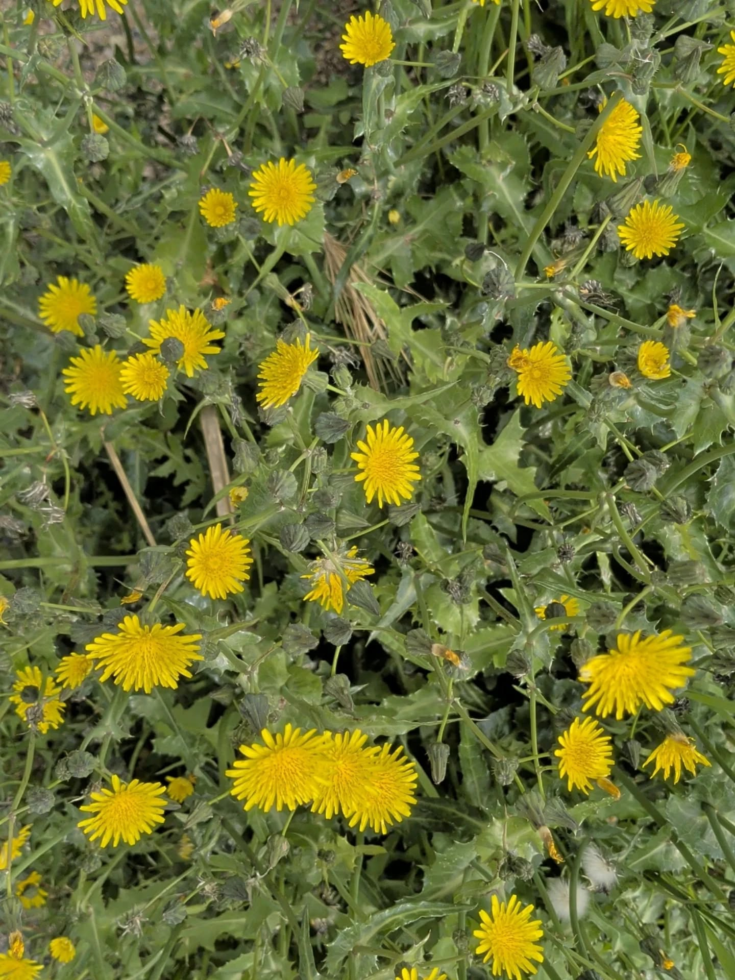 【生きる喜び】