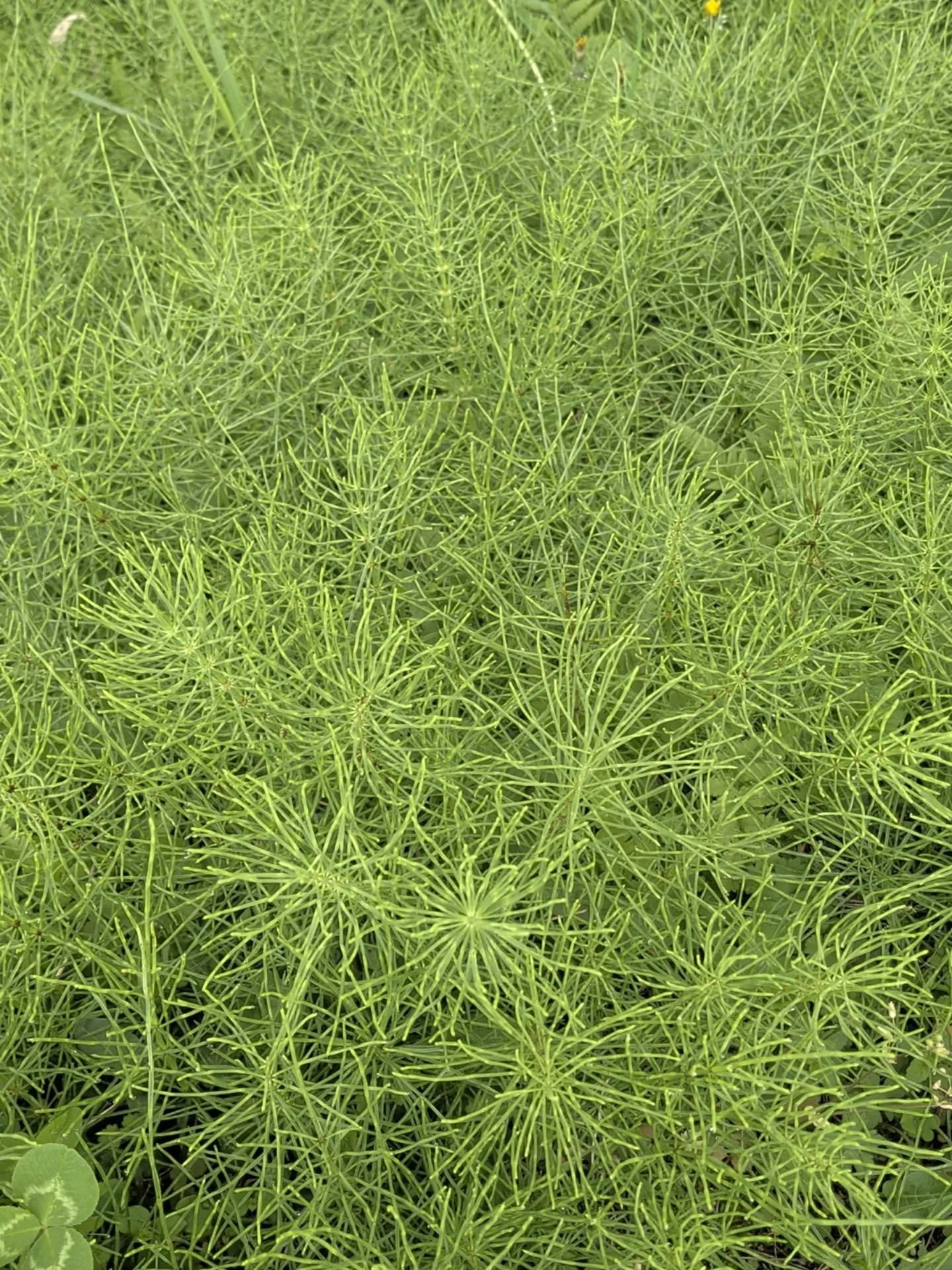 【生きる喜び】