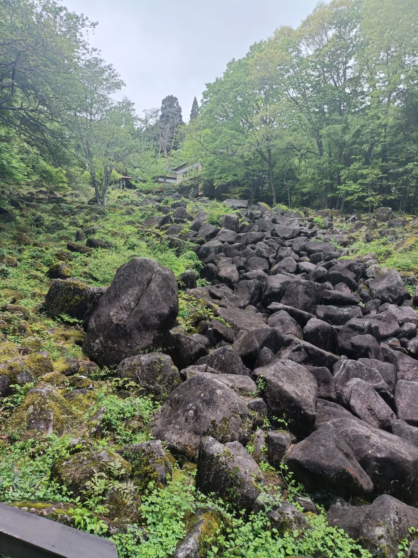 【奈良・山添村へ】