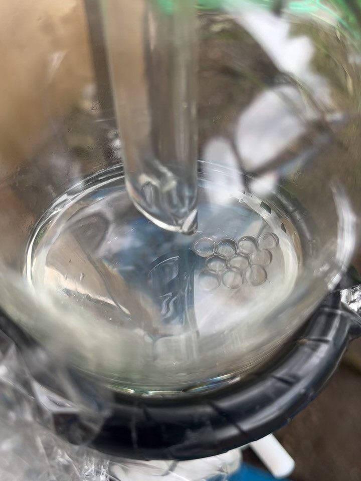 今日のアポテーケ。2025.8.15