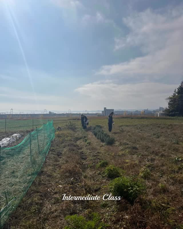 【中級クラス・比良での最後のレポート】