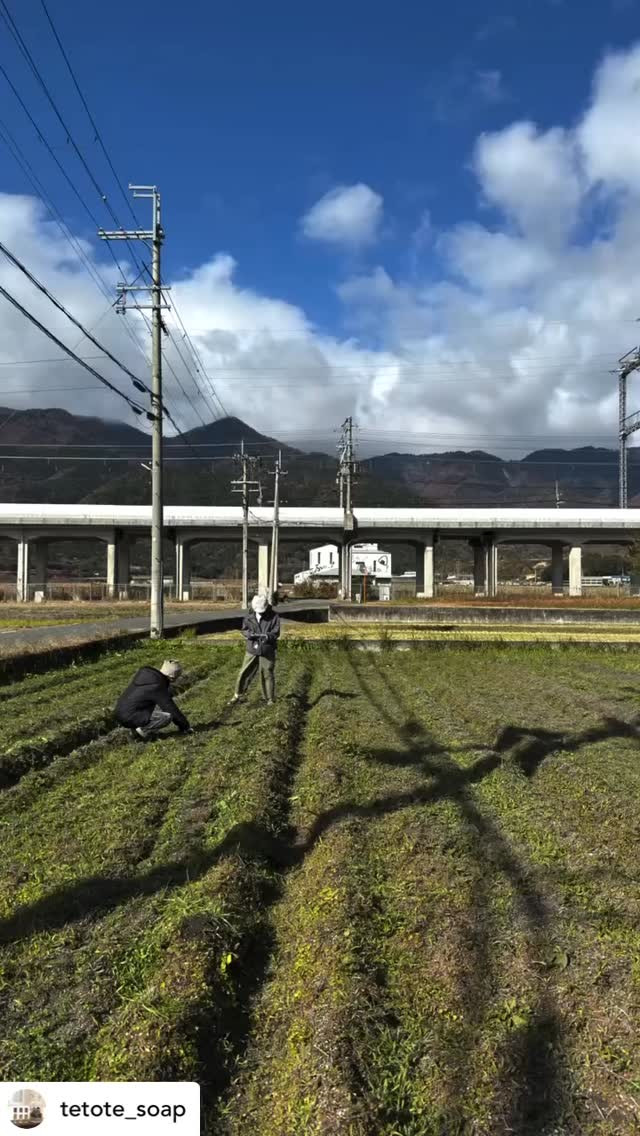 秋からのツチミズ
